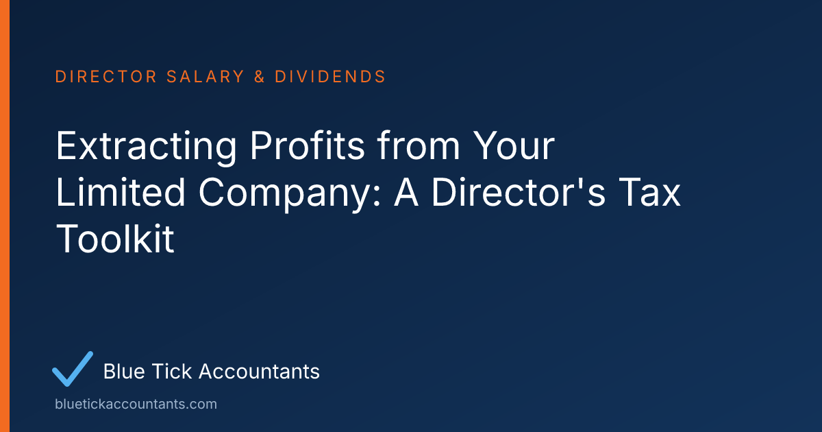 Blue Tick Accountants guide: Extracting Profits from Your Limited Company: A Director's Tax Toolkit