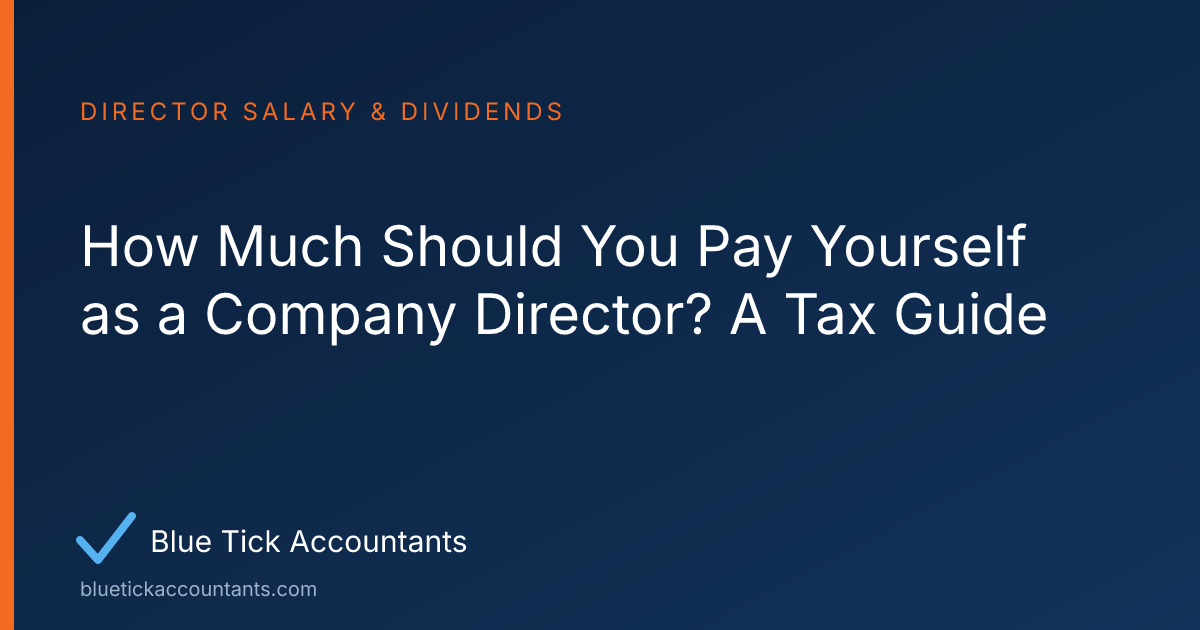 Blue Tick Accountants guide: How Much Should You Pay Yourself as a Company Director? A Tax Guide