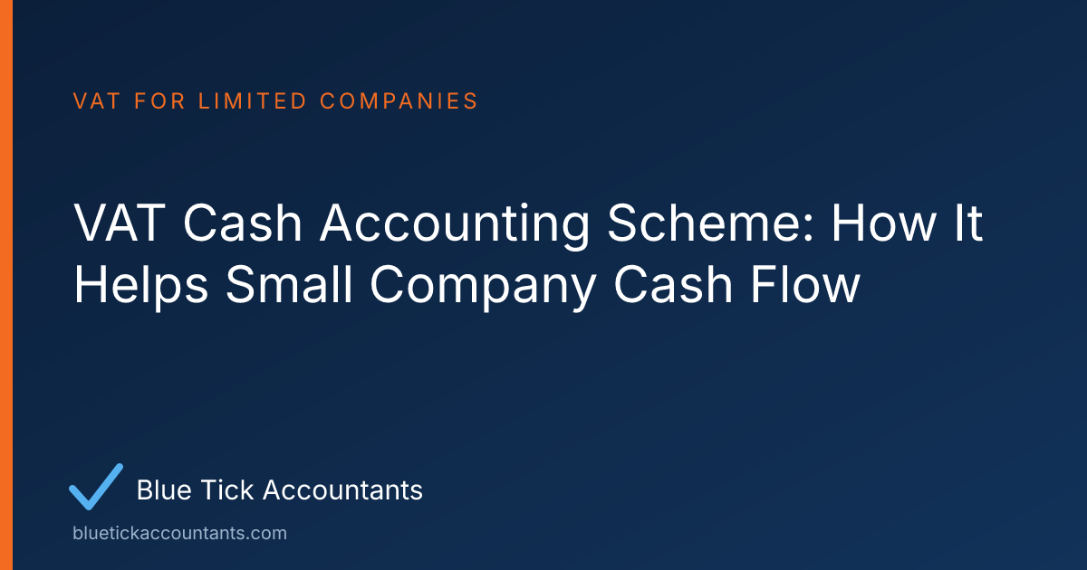 Blue Tick Accountants guide: VAT Cash Accounting Scheme: How It Helps Small Company Cash Flow