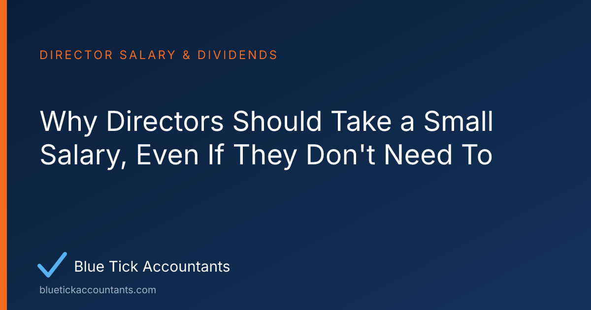 Blue Tick Accountants guide: Why Directors Should Take a Small Salary, Even If They Don't Need To